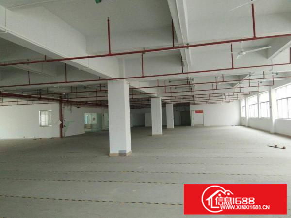 镇隆兴业工业园标准厂房带装修办公室1828平方招租