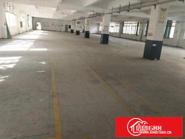 布吉上李朗科技园区整层面积1300平方厂房出租