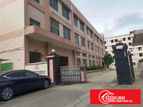 新出原房东独院厂房1至3层4500平