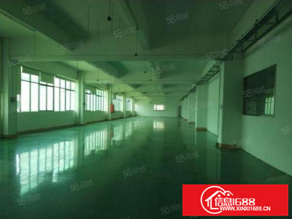 大浪红本高新创新产业园3万平单层面积2600平方可分租整租