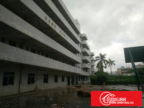 惠阳秋长原房东独院厂房14779平米可明包