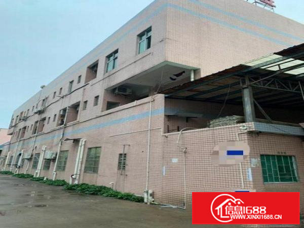 （原房东）常平桥沥7米高单一层1233平方出租