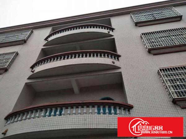 出租园洲园洲城区