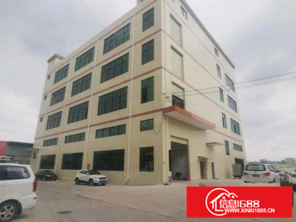 茶山全新独门独院厂房带现成环评消防喷淋空地大工业用地重工业厂