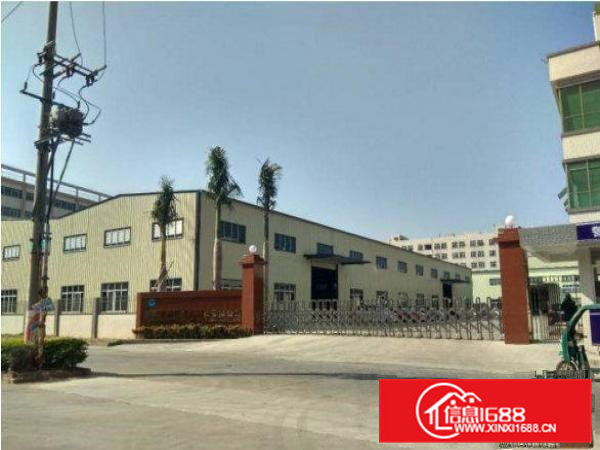 常平横江厦独院钢构厂房2600平方，空地大