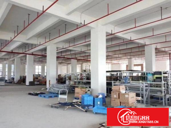 横岗安良独门独院一楼厂房1400平方带水电厂房招租