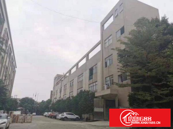 低涌村一楼500平方，带航车，水电齐全厂房出租