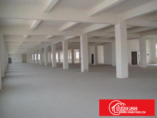 原房东精品独院，标准带装修660平方厂房，价格实惠