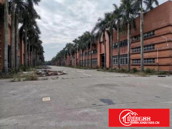 伦教镇新出独院厂房10000平方出租高度12米（可办环评）