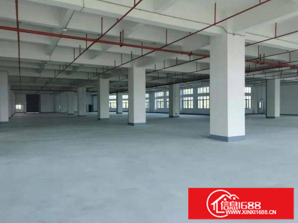 大岭山新出标准独院厂房6000平厂房出租带超大空地