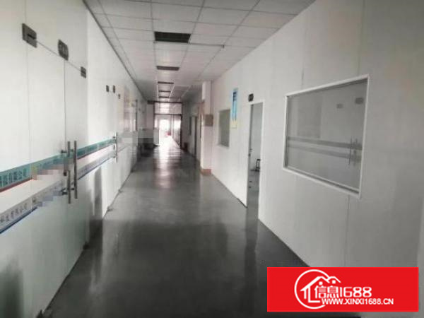 出租石排镇石排城区320平方现成装修水电齐全