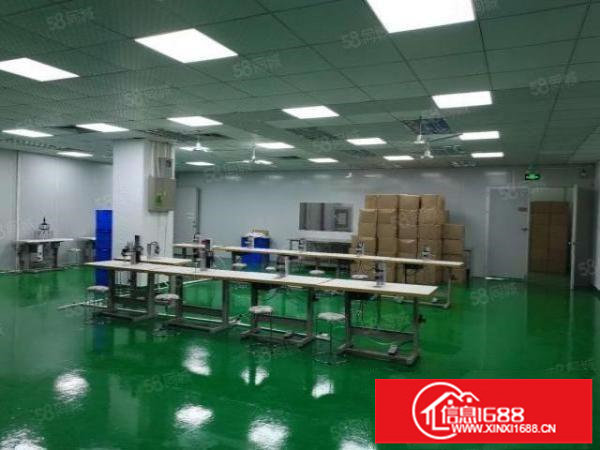 观澜福民1楼410平，带洁净车间，层高6米，园区形象好！