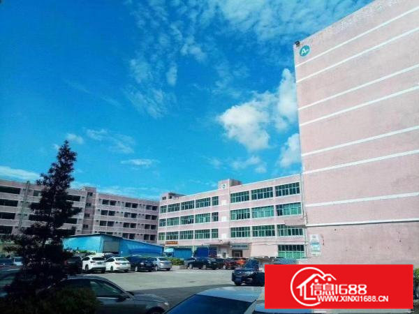 出租高埗镇高埗城区厂房