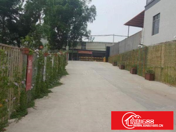 南海区狮山镇银狮路忠信工业园12000平方有牛角大小可分租