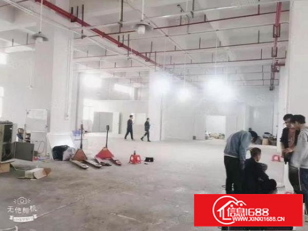 实际面积出租，一楼6米高，水电齐全，