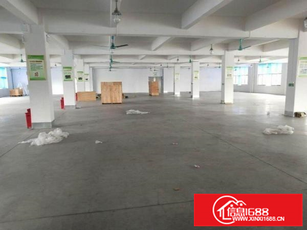 容桂标准1850方，厂房方正实用，采光好，进车方便