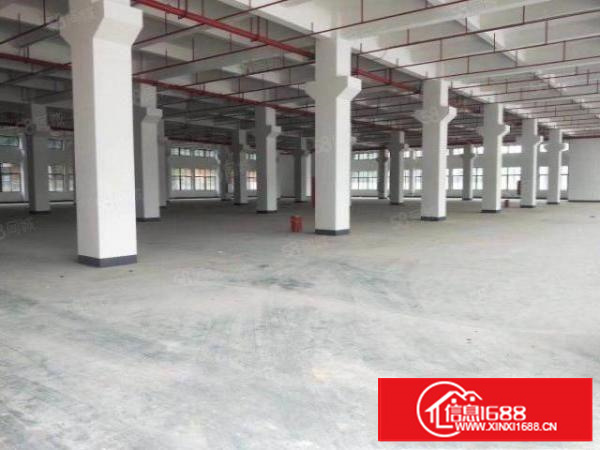 寮步石龙坑新出1000平工业用地厂房滴水8米拎包即可生产