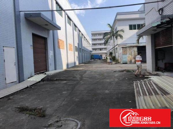 西区惠州惠阳大亚湾厂房3000平米
