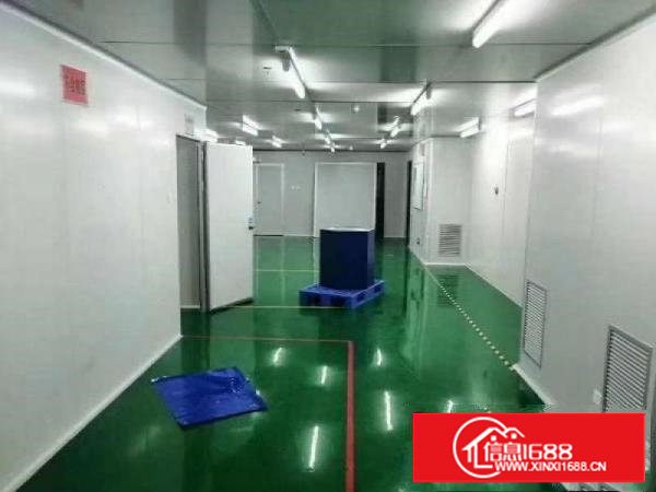 口罩客户免费租，2000平无尘车间长安，房东提点抽成