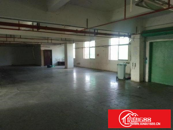 坑梓龙田独院，厂房14层8600平方招租