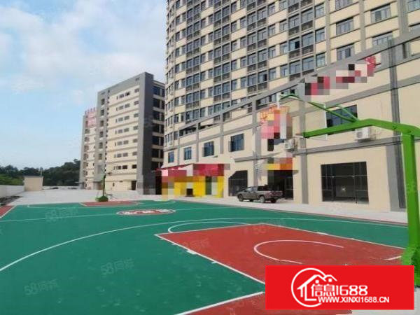 东莞工业聚集地VOC排放指定工业区4000平方10元低价招租