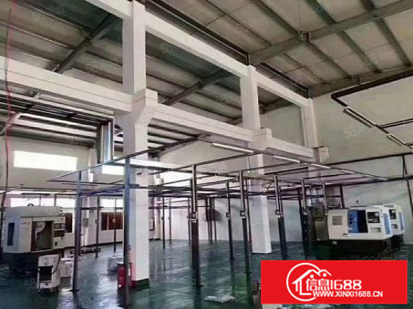 茶山镇独门独院单一层带地坪漆4300平方招租