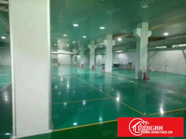 桥头田新无尘车间出租