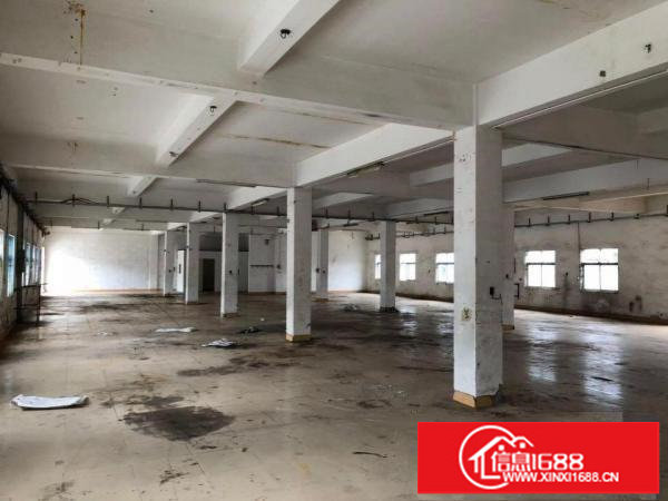 凤岗精品小独院厂房总面积4800平方出租