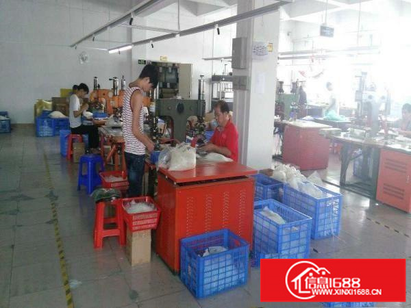 出租龙岗区横岗坳一村阿宝工业园B栋厂房