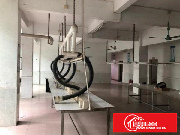 樟木头厂房出租小型厂房仓库出租250平米