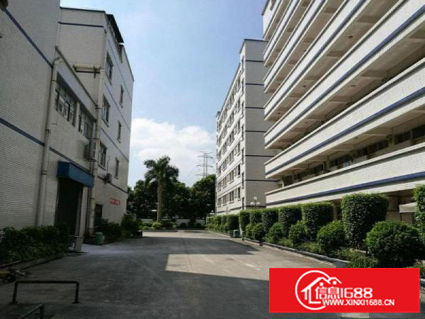 李朗工业园厂房出租一楼5002000平米楼上也有