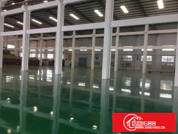 清溪大利两层钢构厂房5000平高13米原房东