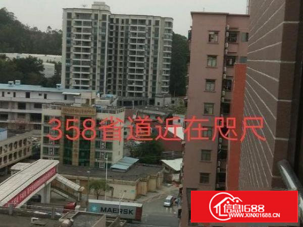 业主直租全新重工业厂房