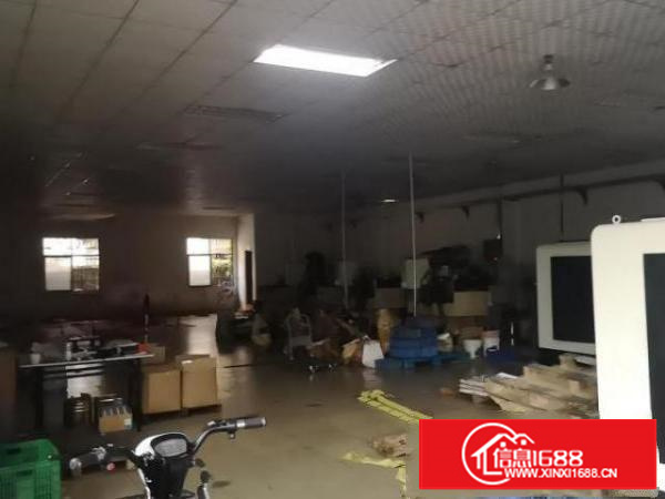 新出厂房石碣标准厂房一楼，有宿舍饭堂