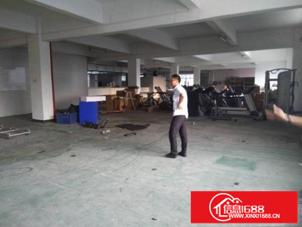 惠州秋长独院标准厂房6000平方，一楼6米原房东