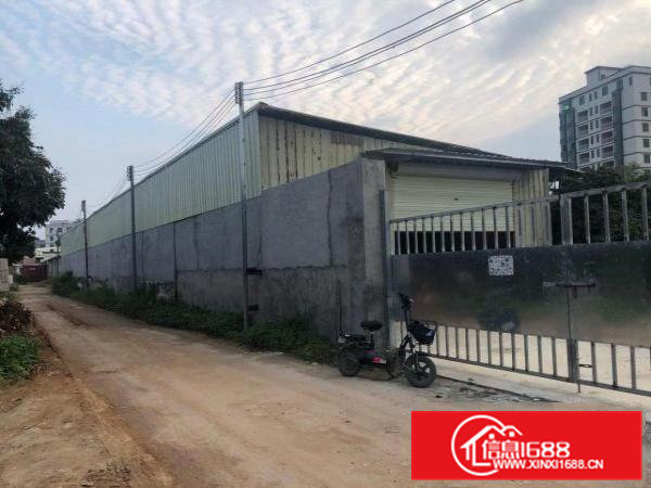 大岭山镇原房东独院钢构厂房高5米，周边无居民三相电