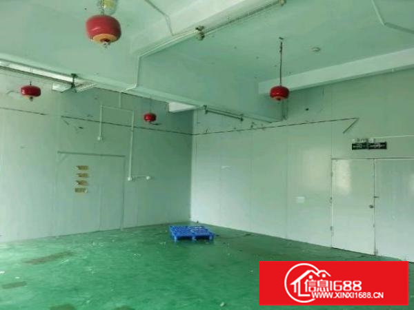 龙华大浪南路新出500平正规厂房，20元一平，先到先得！