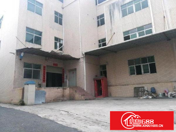 白泥坑海吉星附近独院整栋5880平可大小分租