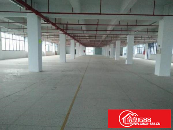坪山大工业区原房东楼上1800平带消防喷淋厂房出