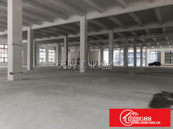 全新厂房出租免中介费配套齐全