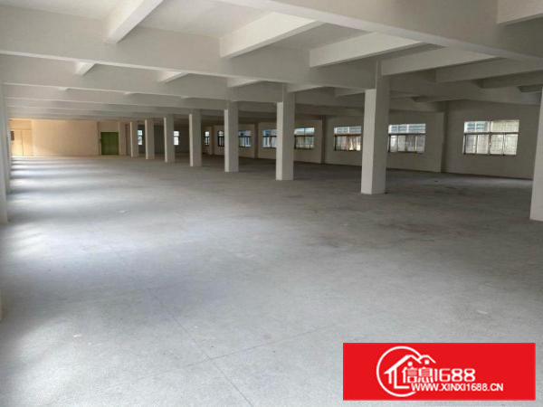 独门独院优质厂房