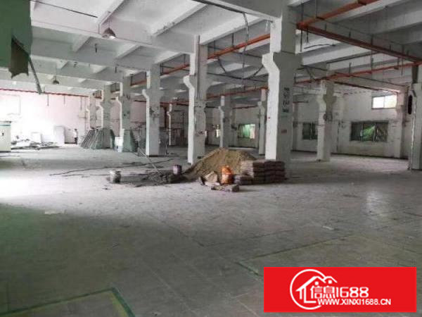 横岗六约原业主一楼3900平层高6.2米