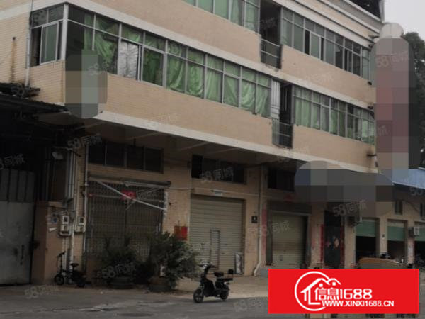 大朗新出（原房东）独栋厂房4层1000平方，可整租分租