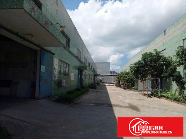 大亚湾单一层钢结构4300平火爆招租