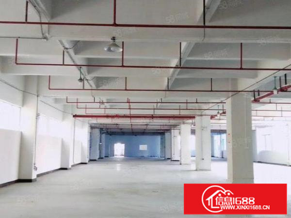 高新科技园标准厂房出租，交通便利，易招工，空地面积大