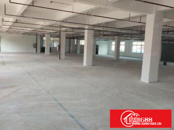 大朗原房东独门独院11000平招租,工业用地,可办环评!