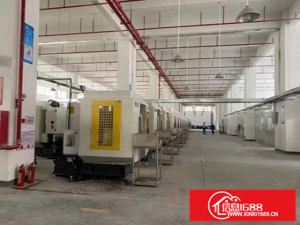 清溪高新园区新出7米高标准一楼5800平，现成装修大小分租