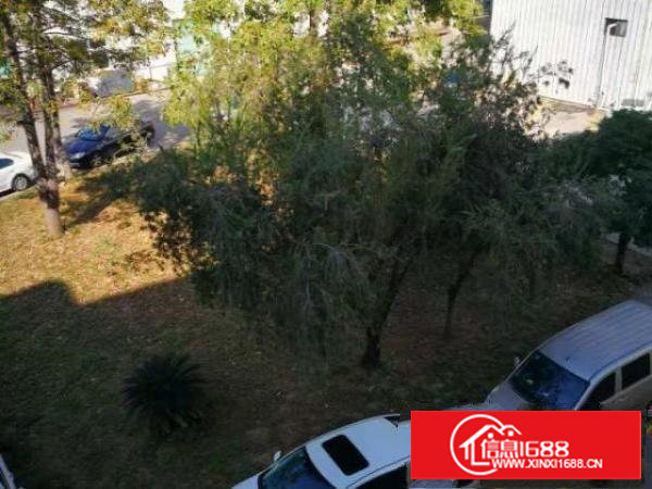 厂房分租300平，樟木头樟洋区巨嘉工业园，有货梯3500