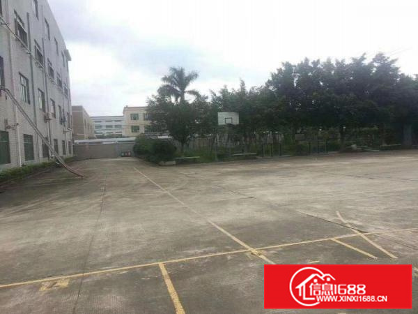 独门独院花园式厂房出租10000平米出租有证件