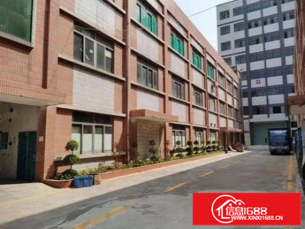 大岭山颜屋新出厂房1到3层，单层面积800平方，免租期长